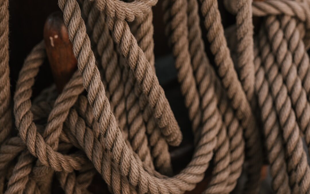 Anti-Dumping Sunset Review on Jute Products – International Trade Law Update #43